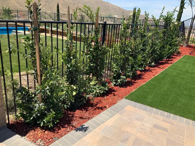 Artificial turf installed by 360 Remodeling & Building
